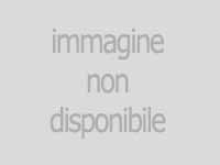 <div class='vetrina'><a href='Anteprima' target='_blank'>scheda MS</a></div>